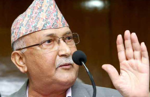 kp-oli