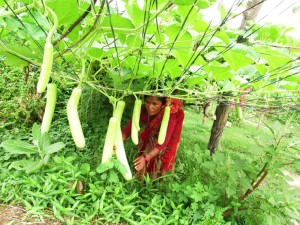 krishima-mahila